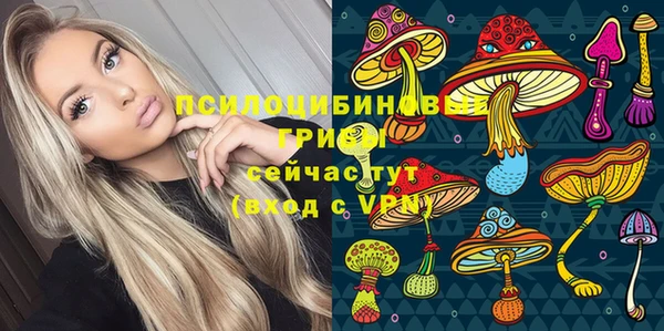 сатива Алексин