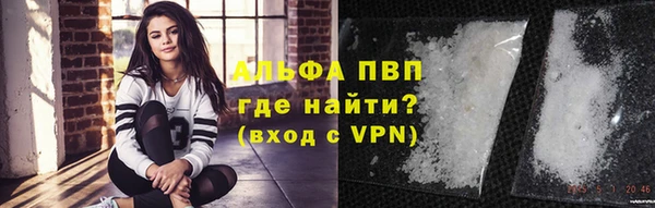 a pvp Алзамай
