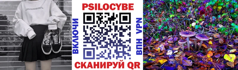Галлюциногенные грибы Cubensis  Купить где  Нея 